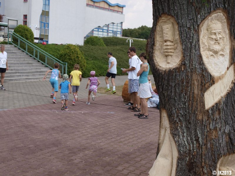 2013-07-27-OCELAK 132